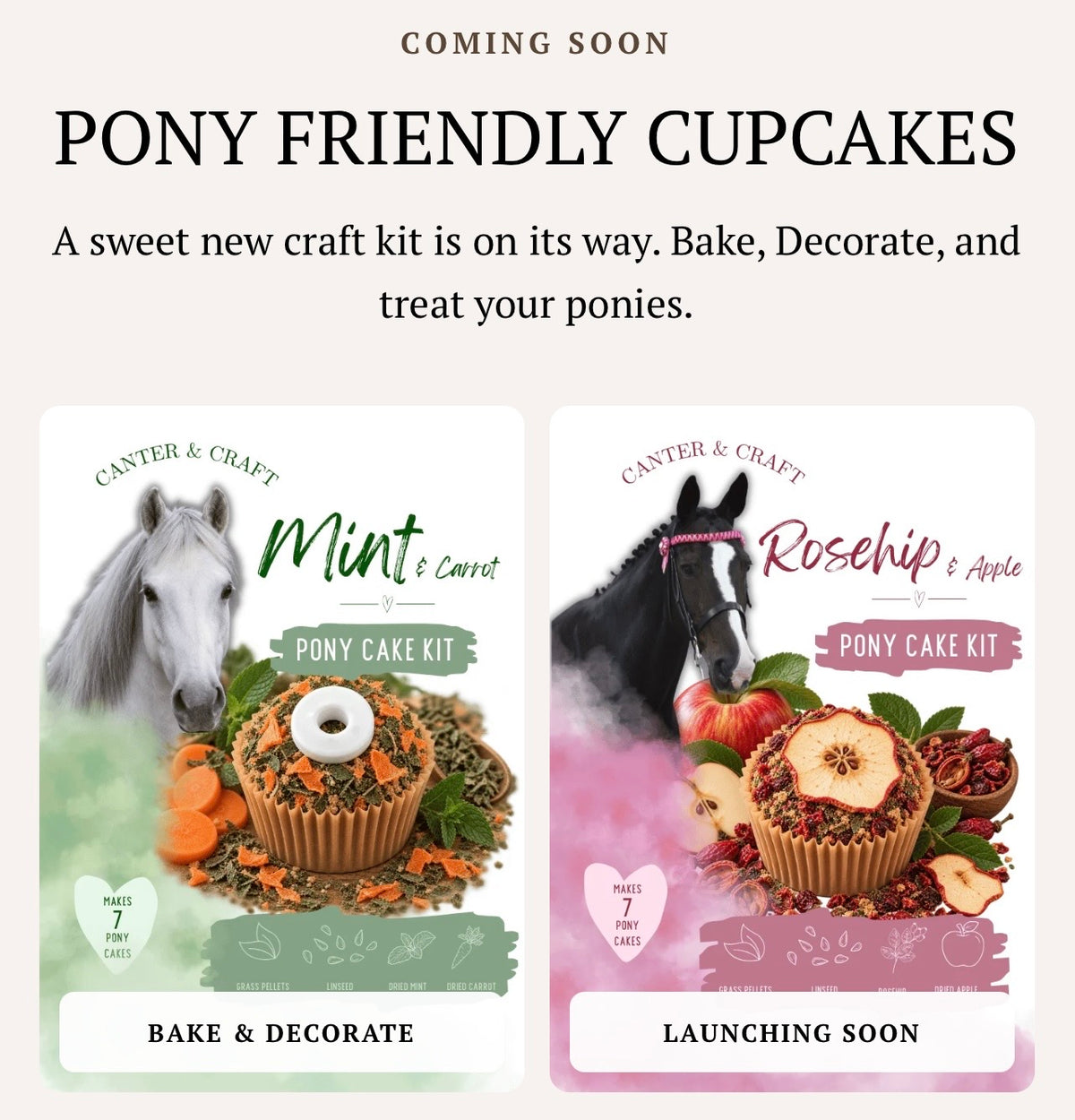 Pony Cupcake Tester Kit - Mint And Carrot