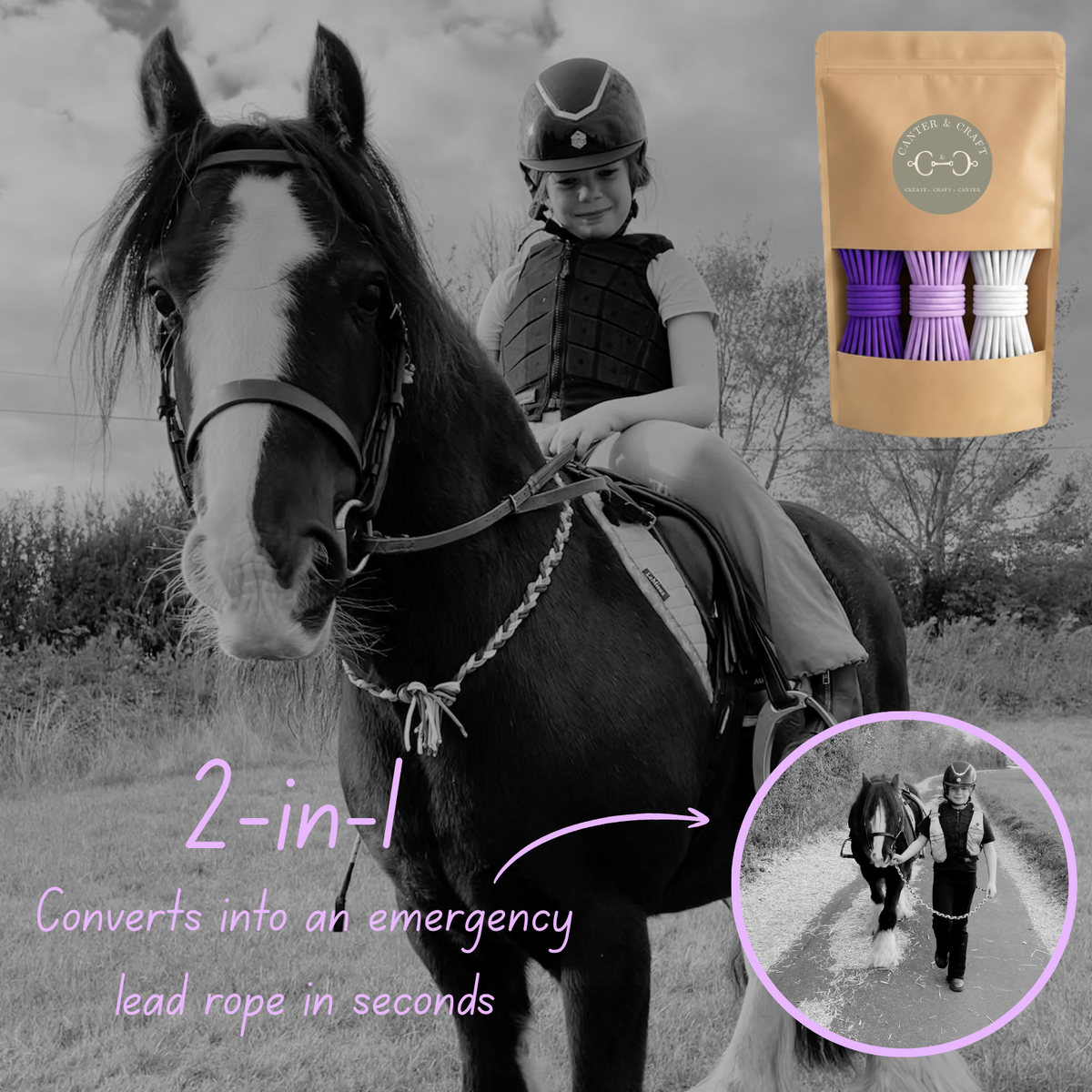 Milo Mauve DIY 2-in-1 Neck Rope & Lead Rope Kit