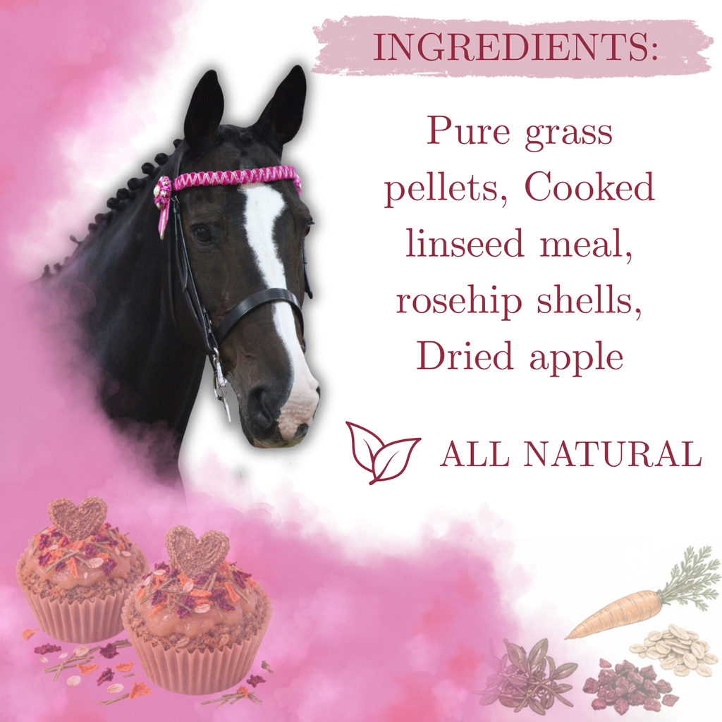 DIY Rosehip And Apple Pony Cupcake Kit