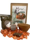 DIY Mint And Carrot Pony Cupcake Kit